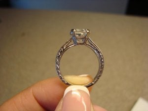 e-ring_1.JPG e-ring_1.JPG