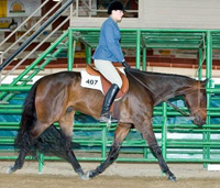 HUS show photo May111.jpg