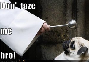 loldogsdontazemebro.jpg