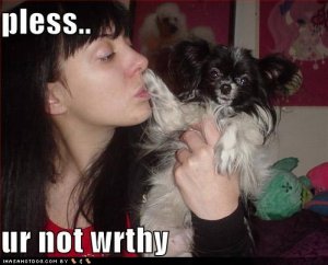 loldogsplessurnotwrthy.jpg