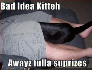 lolcatsbadideakittehawayzfullasuprizes.jpg