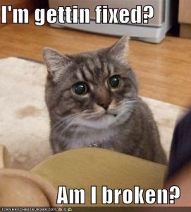 lolcatsimgettinfixedamibroken.jpg
