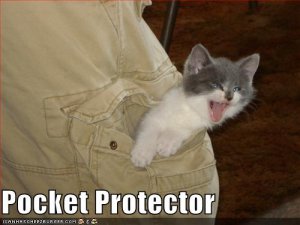 lolcatspocketprotector.jpg