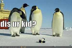 lolpenguinsdisurkid.jpg