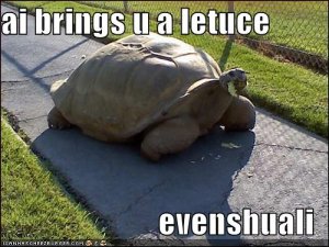 lolturtleaibringsualetuceevenshuali.jpg