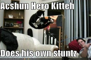 lolcatsacshunherokitteh.jpg