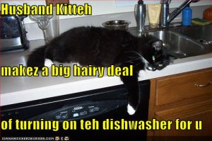 lolcatshusbandkittehdishwasher.jpg