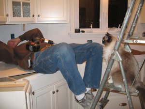 Lighting_and_Supervisor.jpg