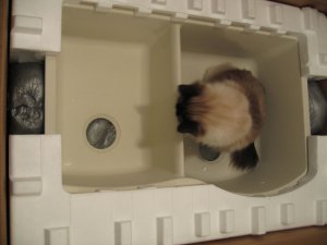 Sink_Inspectot.jpg