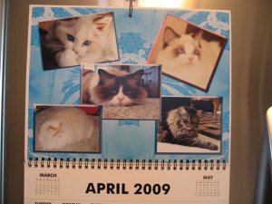RC_Calendar_2009.jpg