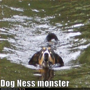loldogsdognessmonster.jpg