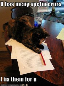 lolcatsuhasmenyspelinerursifixthemforu.jpg