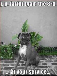 loldogsjpfartinghamthe3rd.jpg