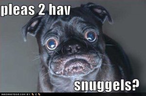loldogspleas2havsnuggels.jpg