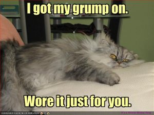 lolcatsigotmygrumpon.jpg
