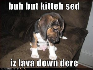 loldogsbuhbutkittehsedizlavadowndere.jpg