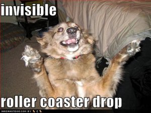 loldogsinvisiblerollercoasterdrop.jpg