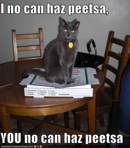 lolcatsinocanhazpeetsayounocanhazpeetsa.jpg