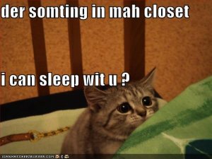lolcatsdersomtinginmahcloset.jpg