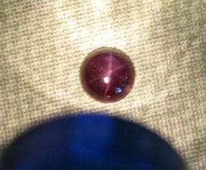 Mag5664.JPG