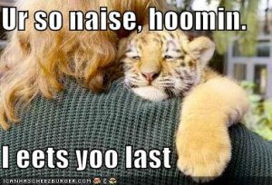 lolcatsursonaisehoominieetsyoolast.jpg