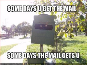 lolcatssomedaysugetthemail.jpg