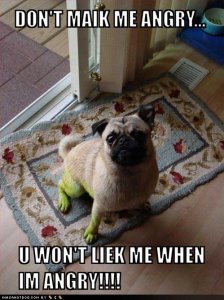 loldogsdontmaikmeangry.jpg