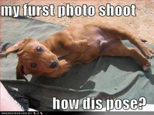 loldogsmyfurstphotoshoot.jpg