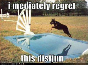 loldogsimediatelyregretthisdisijun.jpg