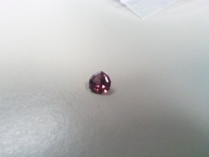 0409091213a.jpg