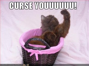 lolcatscurseyouuuuuu.jpg