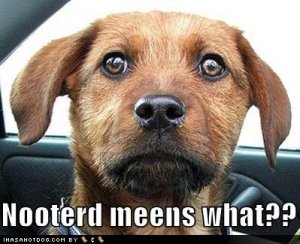 loldogsnooterdmeenswhat.jpg