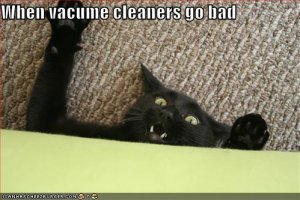 lolcatswhenvacumecleanersgobad.jpg