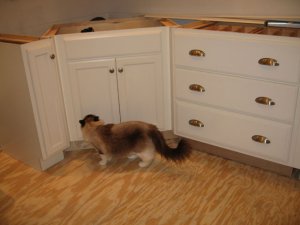 01-24-09h.jpg