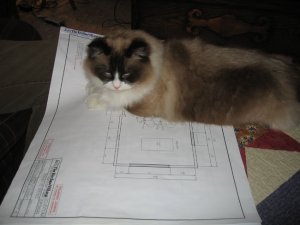 01-21-09ee.jpg