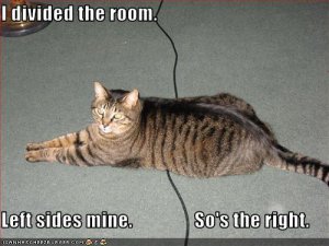 lolcatdividedroom.JPG