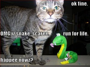 lolcatsOMGizsnakescaree.jpg