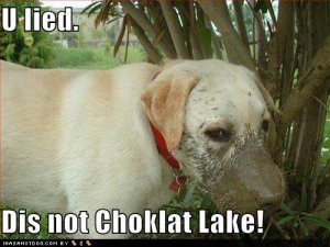 loldogsulieddisnotchoklatlake.jpg