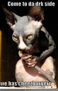 lolcatscometodadrkside.jpg