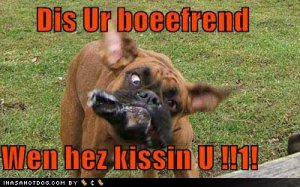 loldogsdisurbooeefrendwenhezkissinu.jpg