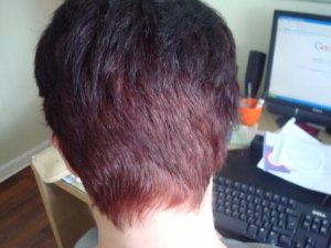 maisiehair12.jpg maisiehair12.jpg