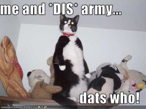 lolcatsmeanddisarmydatswho.jpg