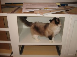 01-23-09c.jpg