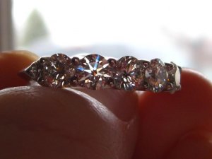 IMG_1455kt.JPG