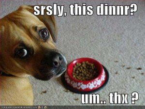 loldogssrslythisdinnr.jpg