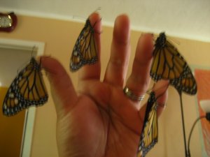 020_1_1_1.jpg