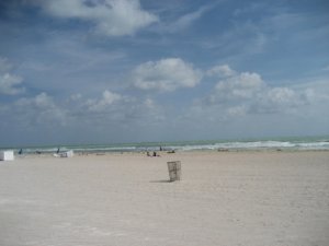 IMG_0539_1_1_1_1_1.JPG