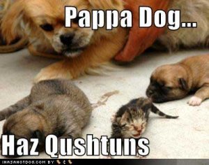 loldogspappadog.jpg