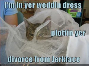 lolcatsiminyerweddindress.jpg
