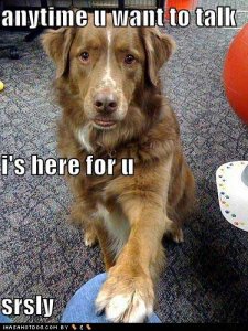 loldogsanytimeuwanttotalk.jpg